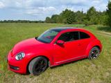 Volkswagen VW Beetle 1,6l TDI Bj 2012 - VW Beetle Diesel von 2012