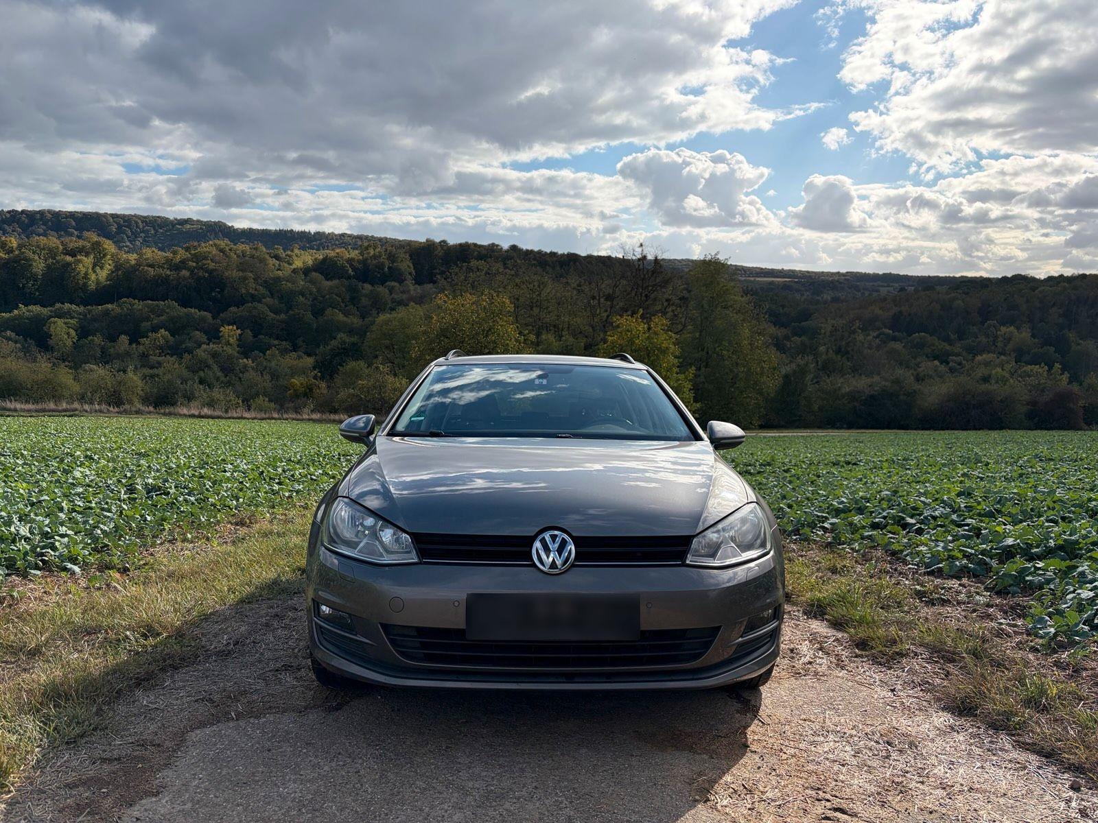 Volkswagen Golf 2014 — rear view