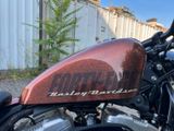 Harley-Davidson XL1200 X Forty-Eight 48 - HARLEY-DAVIDSON 48 FORTY EIGHT