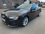 Audi A5 Cabriolet 2.0 TDI - Audi Cabriolet Gebrauchtwagen