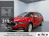 Skoda Octavia Combi Scout 2.0TDI DSG 4x4 Headup-Displa - Skoda Octavia Scout mit Diesel-Antrieb