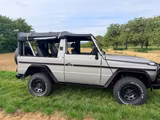 Mercedes-Benz G 250 Wolf - Ich wäre bereit... - Mercedes-Benz Wolf