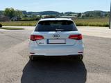 Audi RS3 8V Sportback non-OPF /PANO/B&O/Kamera - Audi: Rs8