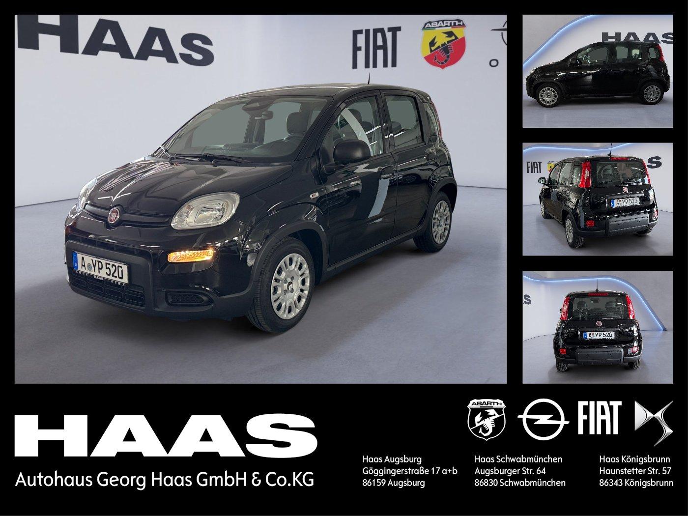 Fiat Pandina