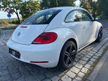 Volkswagen Beetle - 5