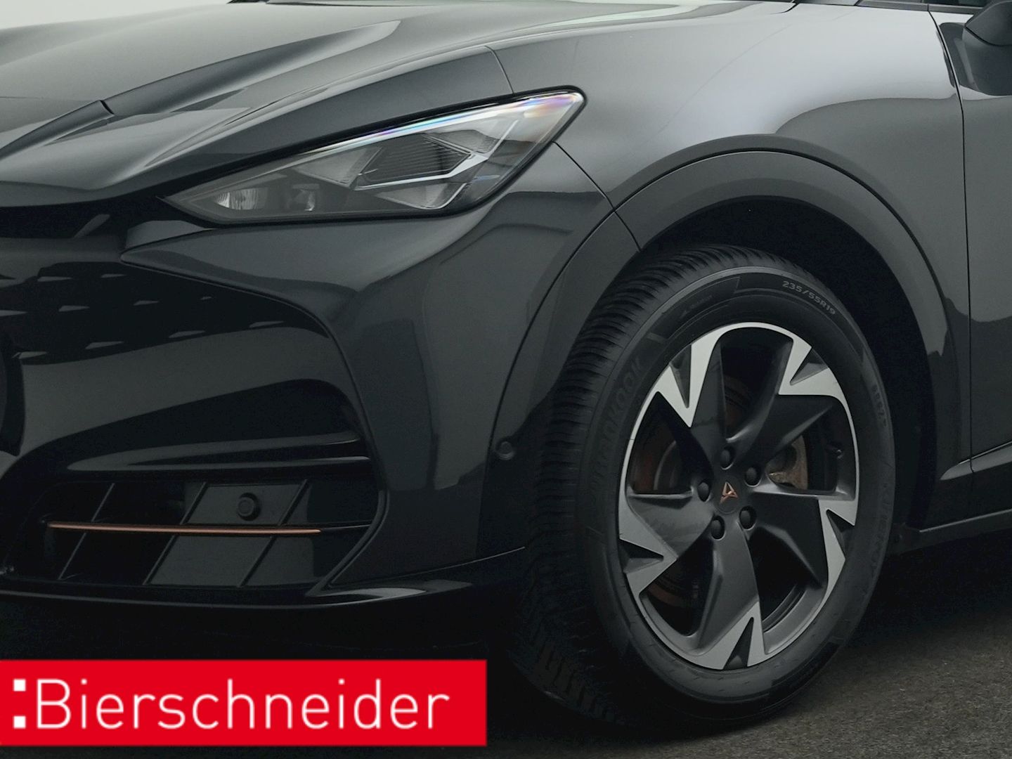 Cupra Tavascan - Bild 18