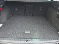 Skoda Octavia - Vorschau Bild 19