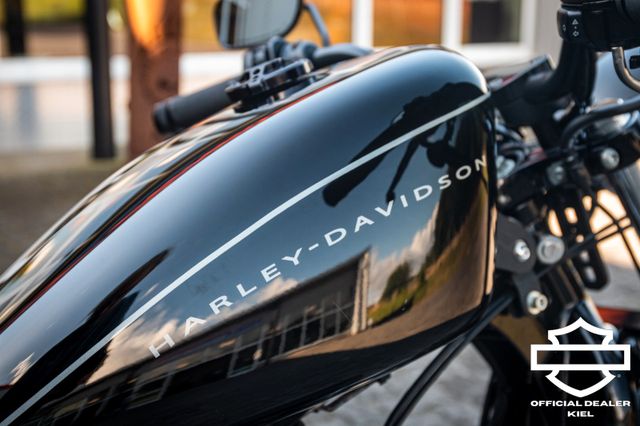 Fahrzeugabbildung Harley-Davidson XL1200N NIGHTSTER SPORTSTER  KERN-KLAPPENAUSPUFF