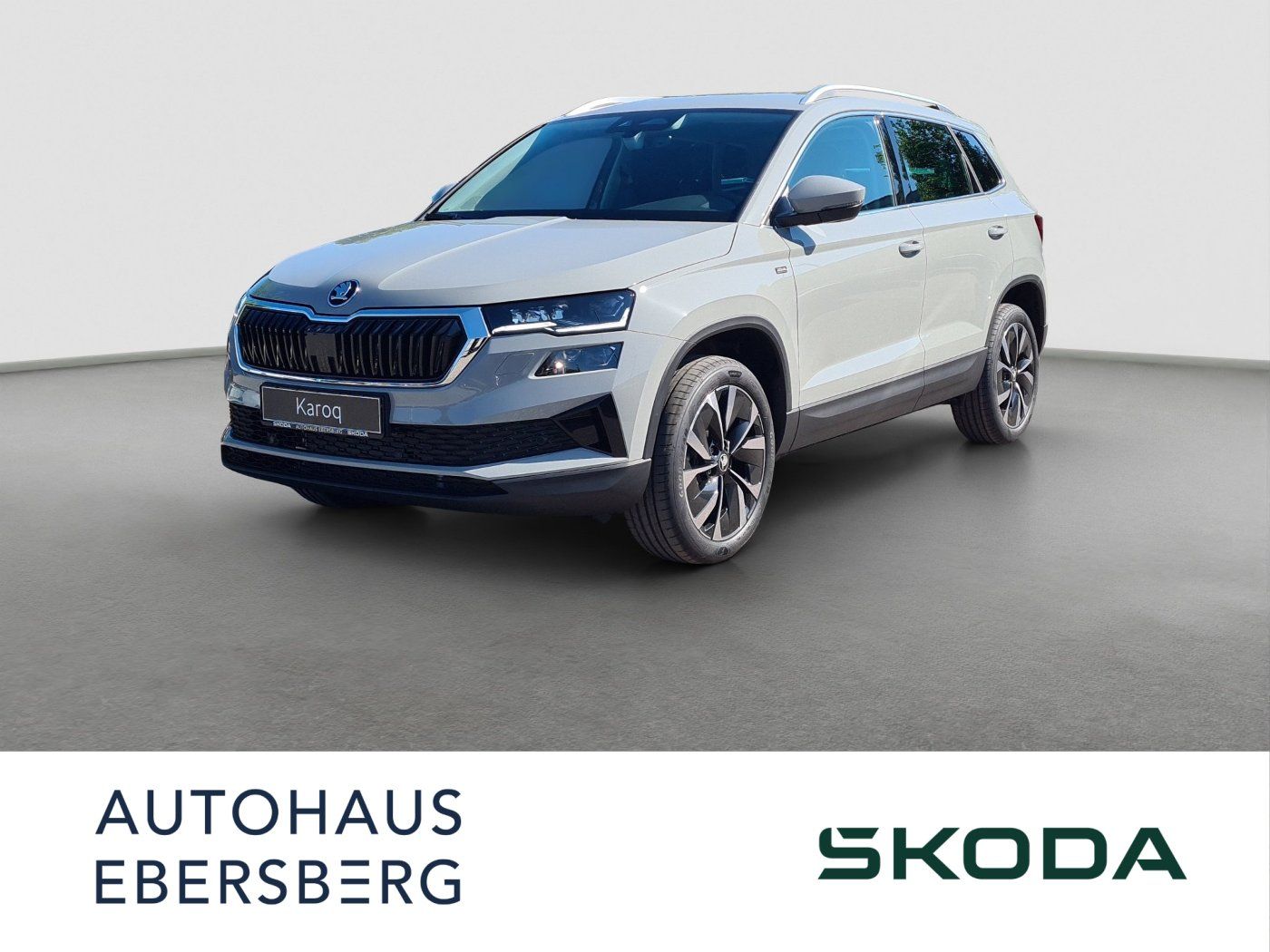 Skoda Karoq 2.0 TDI 110 KW DSG Selection MATRIX AHK
