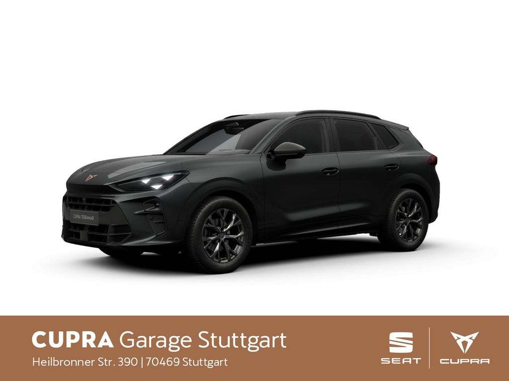 Image of Cupra Terramar