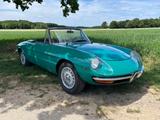Alfa Romeo Duetto 1300 Junior  - gebrauchte Alfa Romeo Spider aus dem Jahr 1969