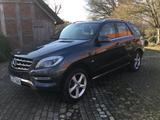 Mercedes-Benz ML 250 BlueTEC 4MATIC - - Mercedes-Benz ML 250 in Bremen