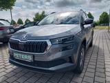 Skoda Karoq Selection TSI DSG Navi Matrix Standhzg. - Skoda Karoq