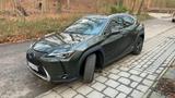 Lexus UX 250h Executive | HUD | Navi | <25.000km - Lexus UX in Köln