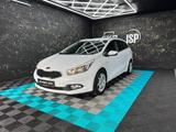 Kia cee'd / Ceed/2HND/BLUE/LENKHZ - Kia cee'd / Ceed