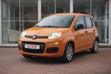 Fiat Panda 1.2i Klima - gebrauchte Fiat Panda aus dem Jahr 2017