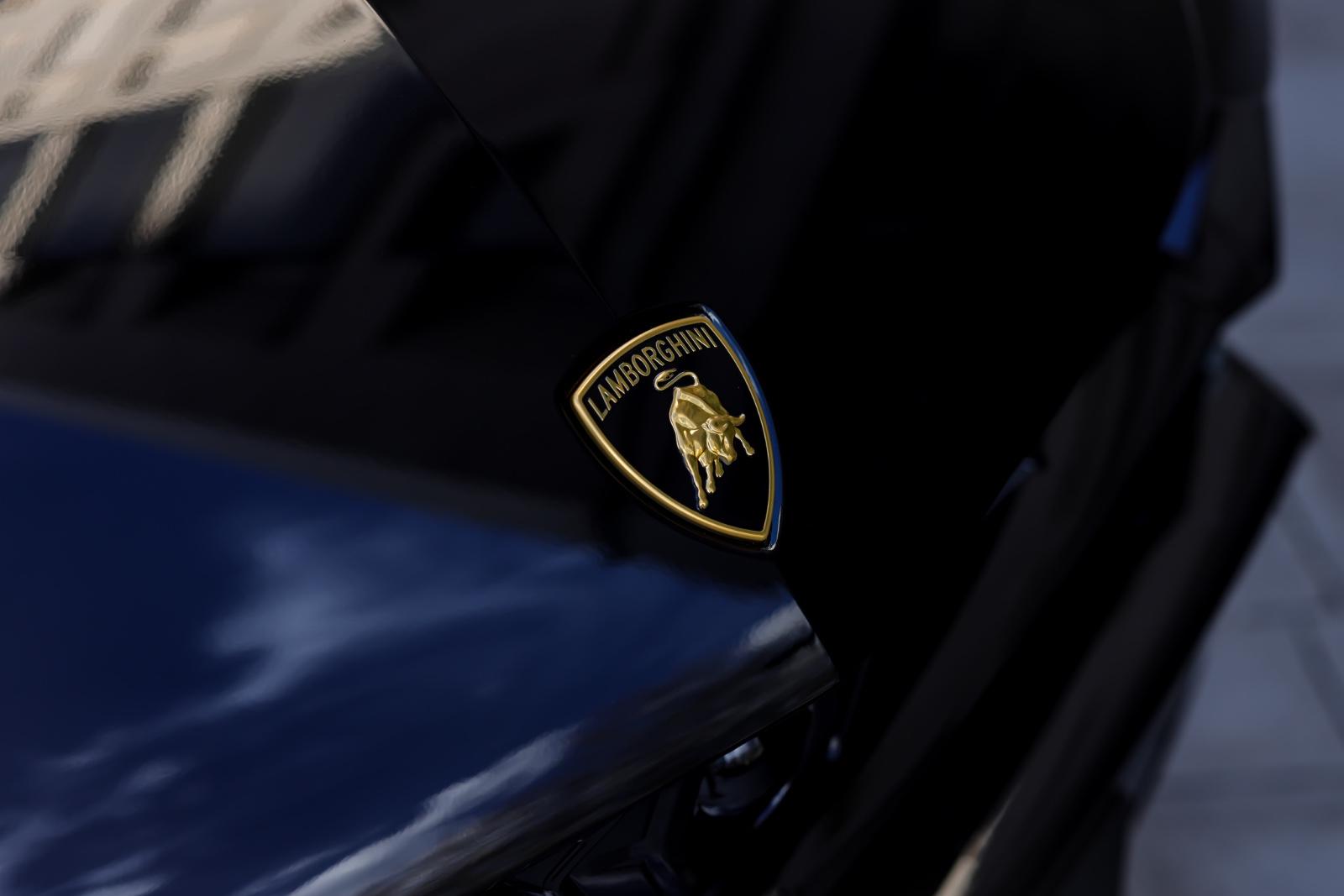 Lamborghini Urus 4.0 V8 SE | Panorama | Carbon | ANIMA