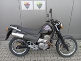 Honda SLR 650  - HONDA SLR 650