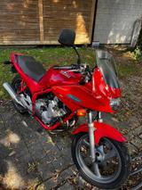 Yamaha XJ600S für Bastler - YAMAHA 1992 XJ600