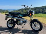 Honda Dax ST50  Top-Zustand - HONDA DAX 50