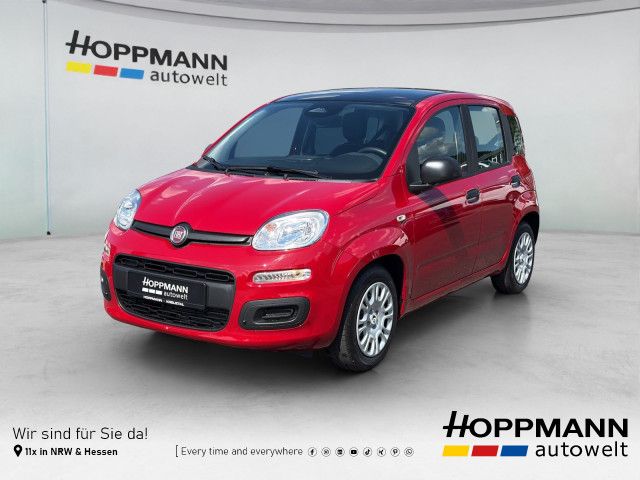 Image of Fiat Panda