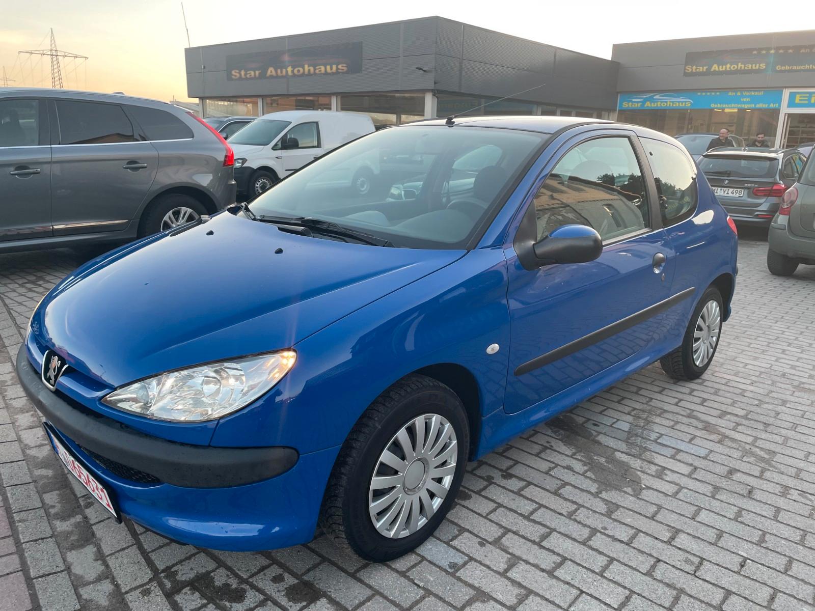 Peugeot 206 Petit Filou