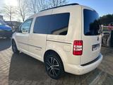 Volkswagen Caddy TSI Edition30 7xSitzpl. Leder NAVI Allwett - Volkswagen Caddy: Edition