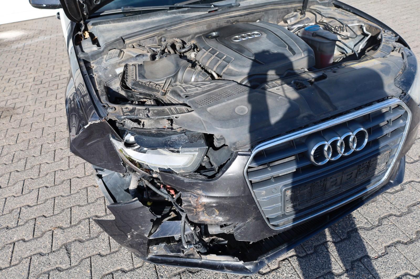 Audi Quattro 2014 — photo 7