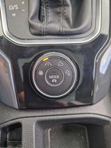 Volkswagen VW T-Roc 2.0 TSI 4MOTION DSG Sport | Pano | ACC  - VW T-Roc von privat