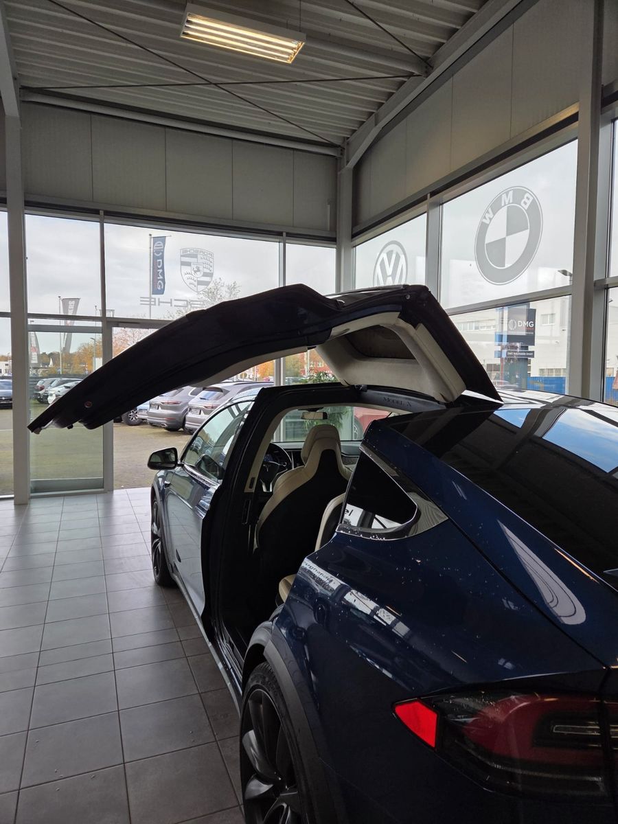Fahrzeugabbildung Tesla Model X 100 D /AHK abnehmbar