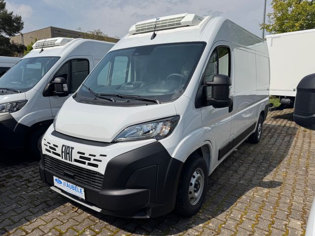 Fiat Ducato Tiefkühler L2H2 Thermoking V300 Max
