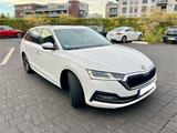 Skoda Škoda Octavia Combi 2.0 TDI 150 PS | Head-Up - Skoda Octavia: 1u2