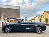 BMW 2 Cabrio 218 i Bi-Xenon Navi Leder Alu Pdc Euro6 - BMW: E21