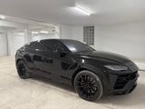 Lamborghini Urus - - Lamborghini in Köln