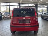 Fiat New Panda 1.2 8V MyLive, Klima, HU neu ! - Fiat New Panda Gebrauchtwagen