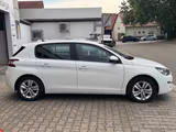 Peugeot 308 Active | CAM | PDC | AHK | BT CAR PLAY - Peugeot 308: Active