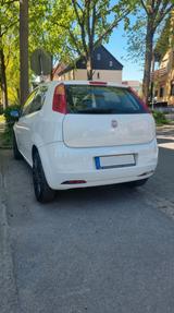 Fiat Sehr gepflegter Punto 1.2 8V Classic Classic - Fiat Punto: 1.2