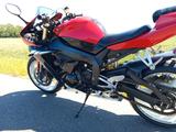 Yamaha YZF R1 RN 09 NEU Reifen, TÜV, Öl-TOP Zustand  - YAMAHA 2005 YZF R1