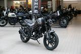 Benelli Leoncino 125, sofort lieferbar - BENELLI LEONCINO 125