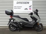 Honda NSS 350 Forza ABS * 2025 * 6 Jahre Garantie * - Angebote