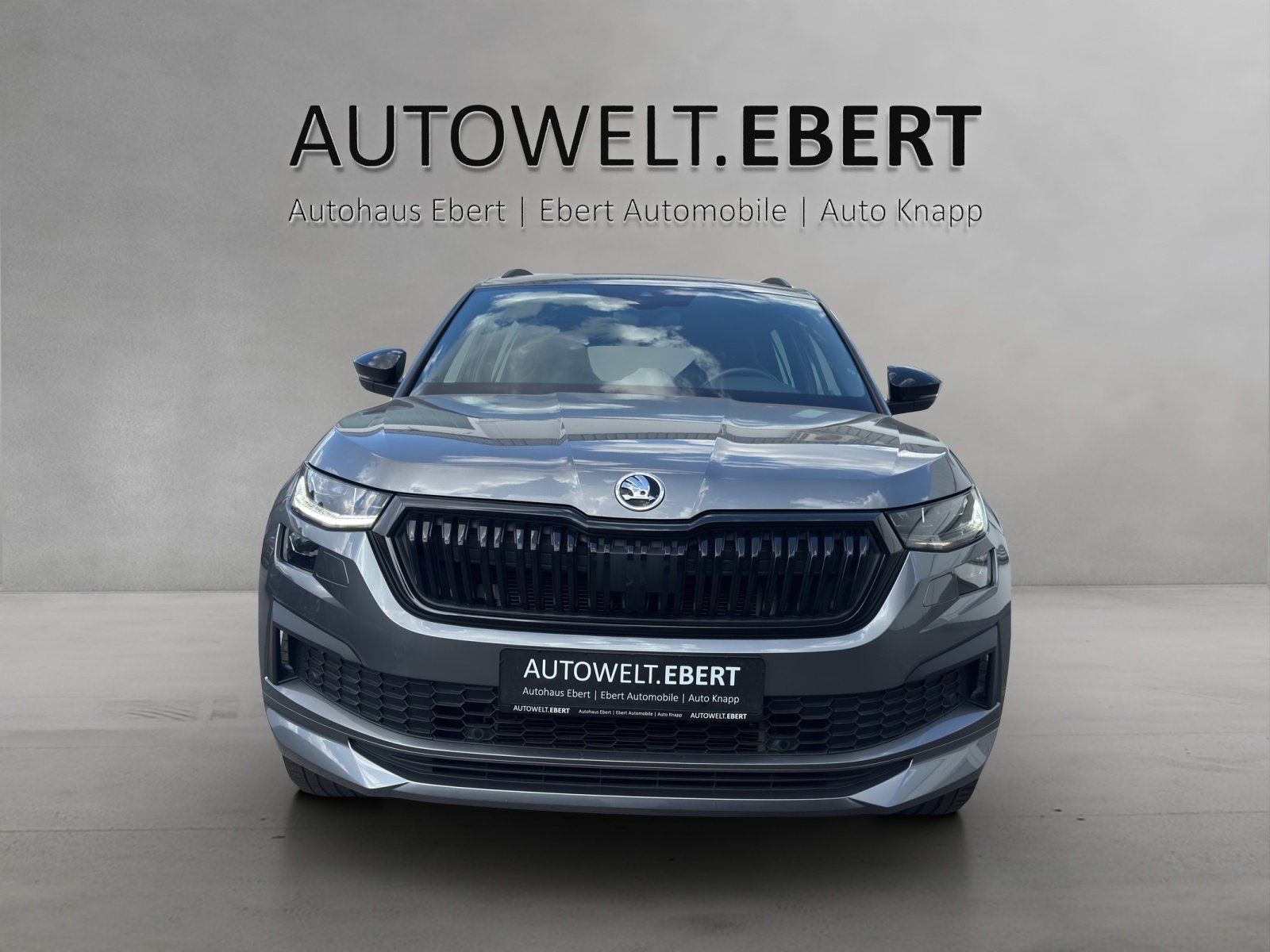 Fahrzeugabbildung SKODA Kodiaq 2.0 TDI Sportline 4x4/ST-HZ/KAMERA/ACC/7S