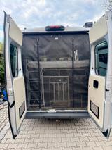 Peugeot Boxer - Peugeot Wohnmobil oder -wagen