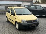 Fiat Panda 1.1*63TKM*SERVICE NEU*TOP*GARANTIE* - Fiat Panda: Gelb