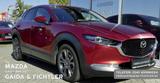 Mazda CX-30 eSKYACTIV-X EDITION100 * MATRIX LEDER BOSE - Mazda CX-30 in Leipzig