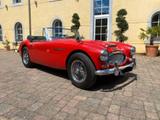 Austin Healey MK III - Klassiker in Bestform  - Austin Healey aus 1966