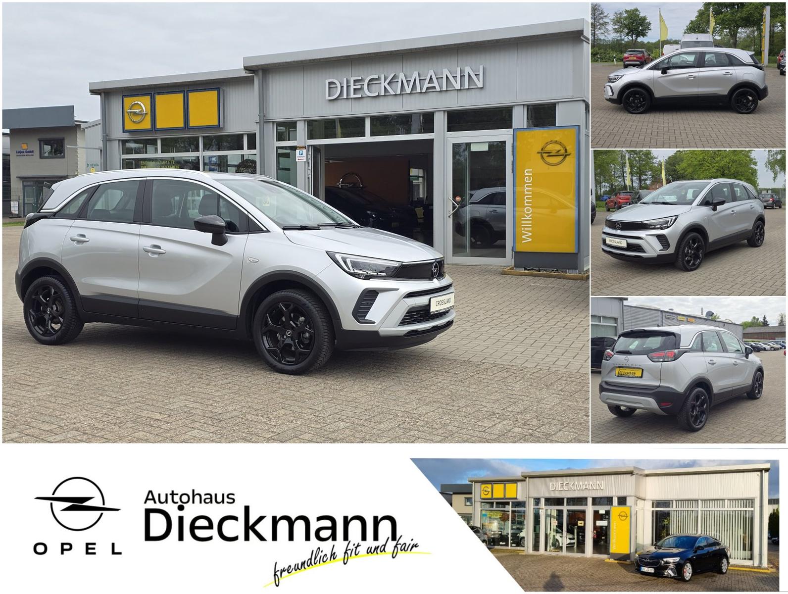 Opel Crossland Elegance Navi SHZ LHZ RFK LED Allwette
