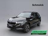 Skoda Karoq Tour 2.0 TDI DSG 150PS ACC NAVI AHK LED - Skoda Karoq in Freiburg