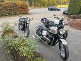 Triumph Bonneville T 100 - Angebote