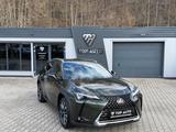 Lexus UX 250 h Style.LED.ACC.Kamera. - gebrauchte Lexus UX aus dem Jahr 2024