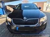 Skoda Octavia Combi Active - Skoda Octavia Active mit Benzin-Antrieb
